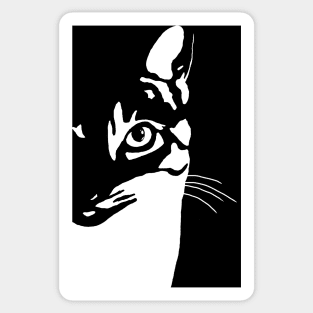 Black and White Cat 657 Sticker